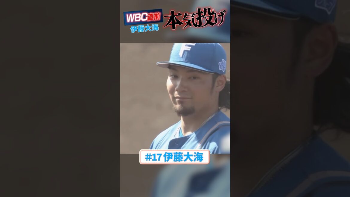#WBC 直前！#伊藤大海 本気の投球#ドミれ #lovefighters
