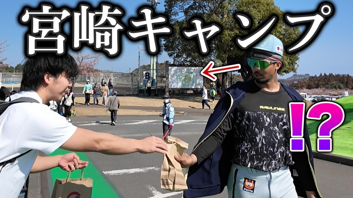 今年の宮崎キャンプ、過去一のえぐい展開になりました。