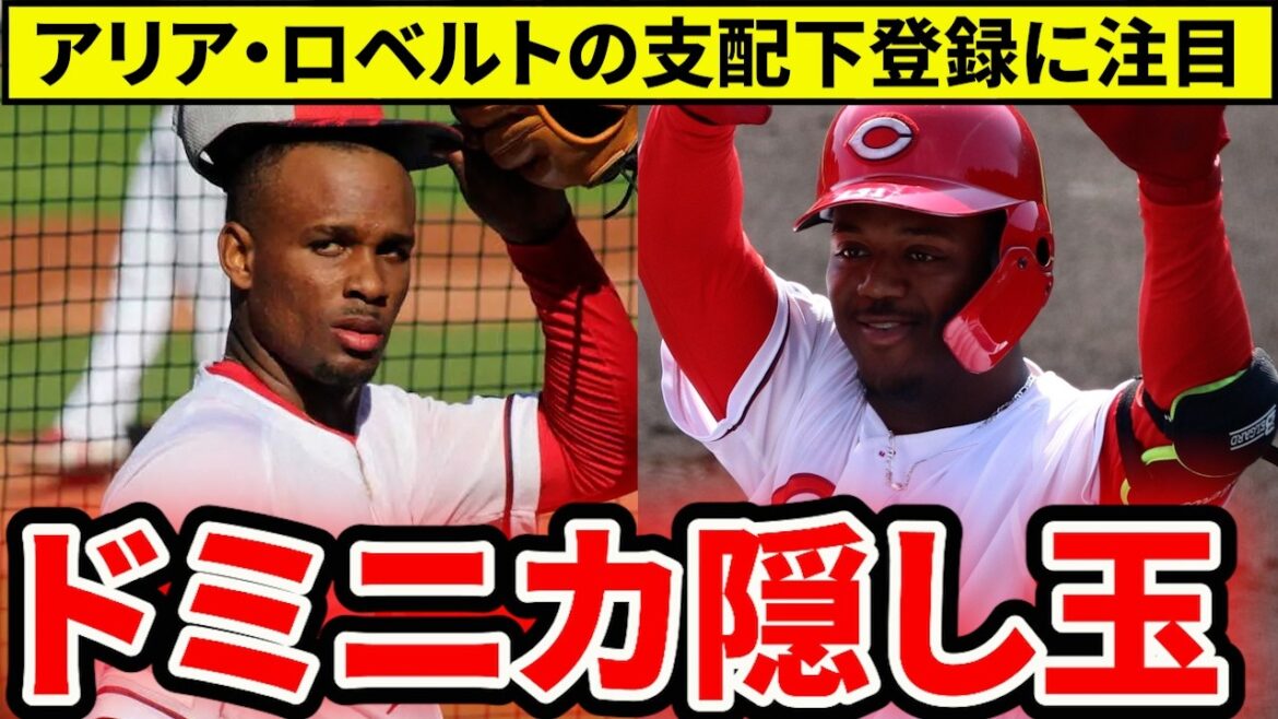 【広島】アリア・ロベルトの支配下登録に注目！アリアは大化けの可能性も？【広島東洋カープ】
