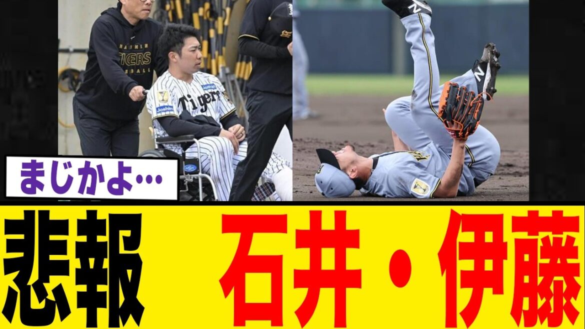【阪神・日本国民に激震】石井大智・伊藤将司に悲報【WBC2026】