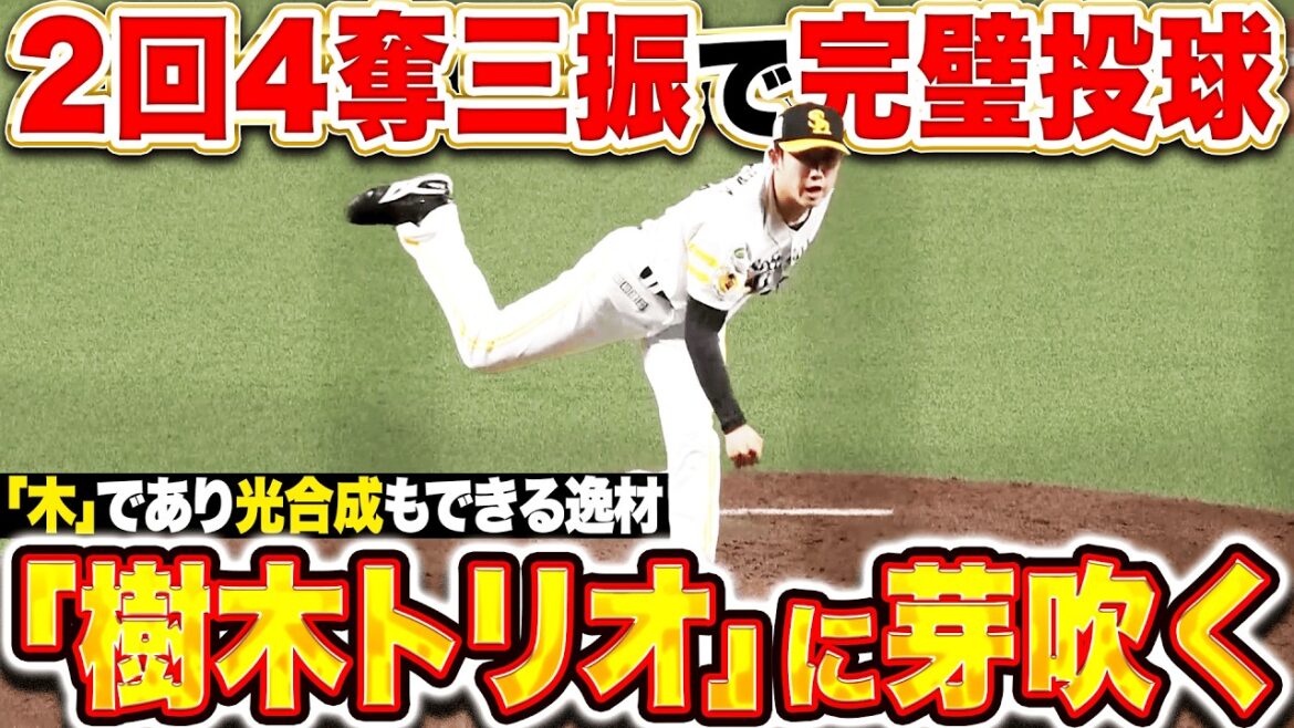 【光合成もできる】木村光『2回4Kで完璧投球…”樹木トリオ”に芽吹く25歳右腕!!』 【光合成もできる】木村光『2回4Kで完璧投球…"樹木トリオ"に芽吹く25歳右腕!!』