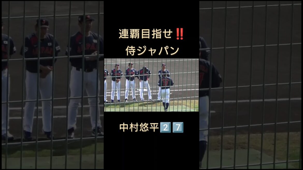 #中村悠平 　#侍ジャパン 　#東京ヤクルトスワローズ 　 #燕征 　 #応燕 　#日本代表 　#shorts　#宮崎県 　#ひなたサンマリンスタジアム宮崎