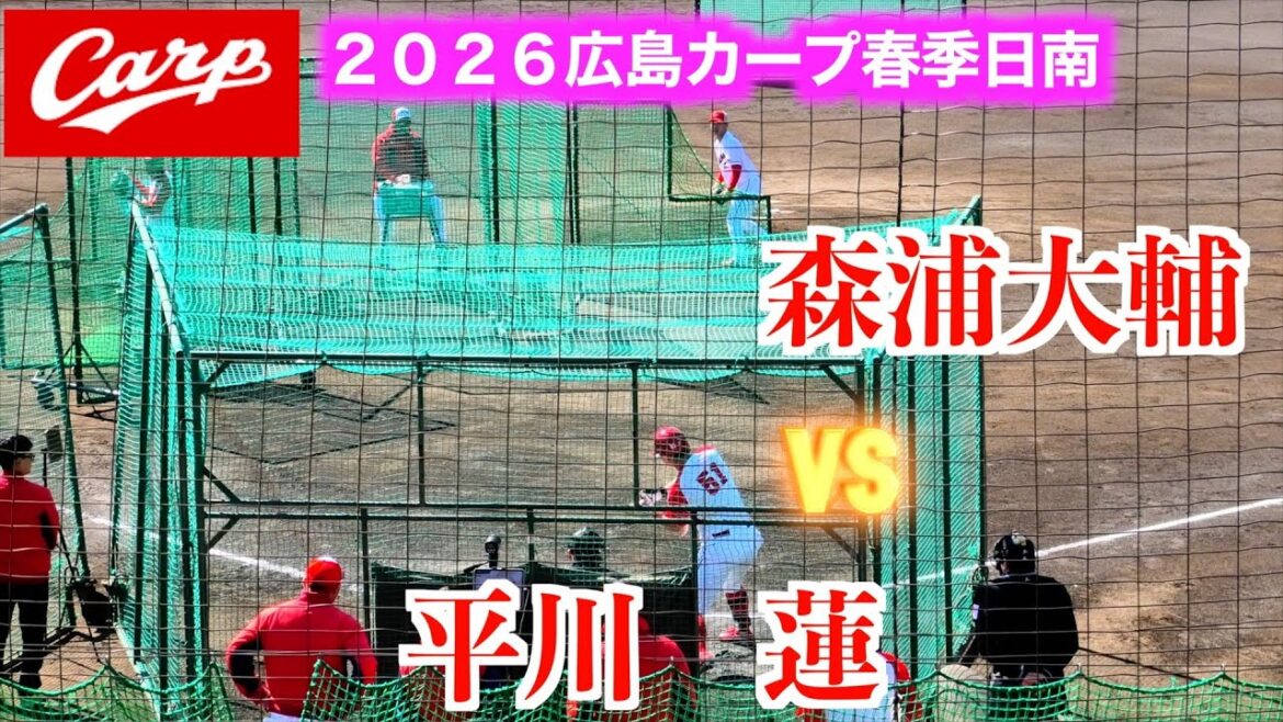 投手は森浦大輔　打者にはルーキー平川蓮に勝田成も登場！フリー打撃投手登板！【２０２６広島東洋カープ春季日南キャンプ】