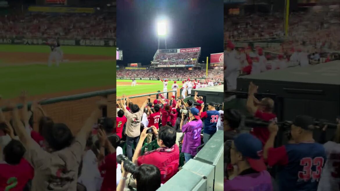 大瀬良ノーヒットノーラン達成の瞬間 #プロ野球 #広島東洋カープ #野球 #ノーヒットノーラン #セリーグ