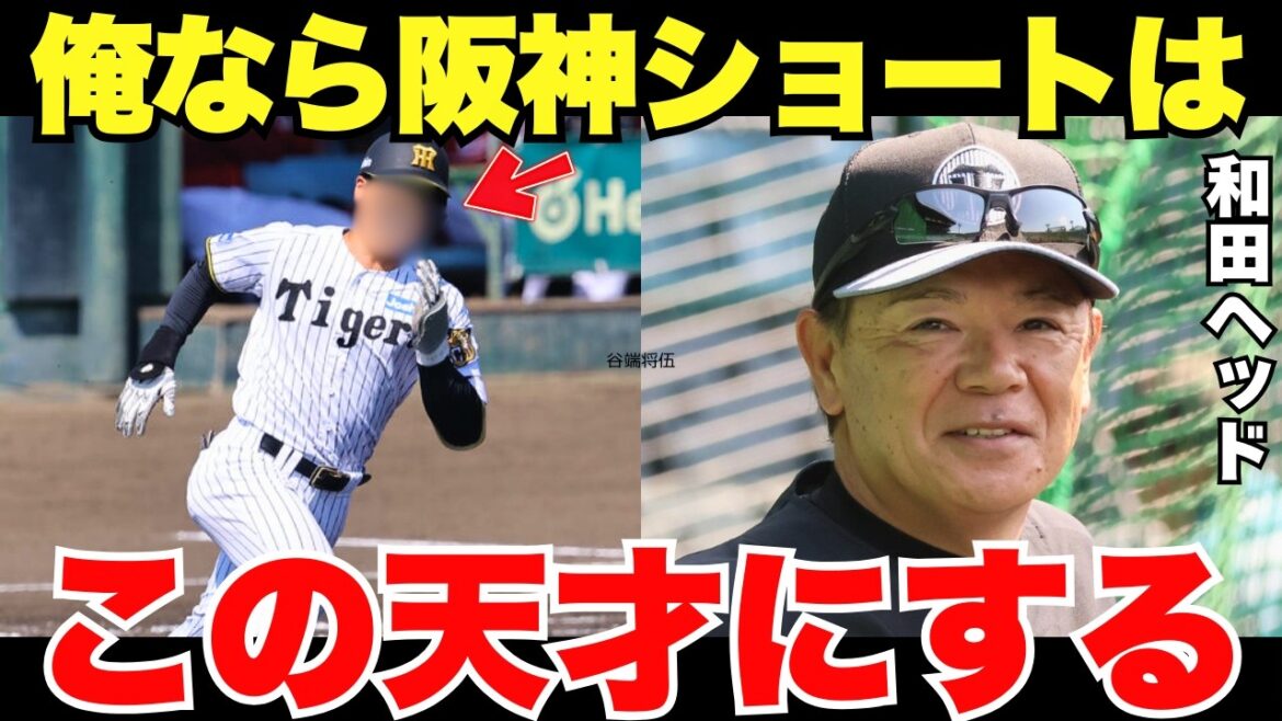 「小幡やディベイニーより…」阪神の和田ヘッドコーチがイチオシするショート候補