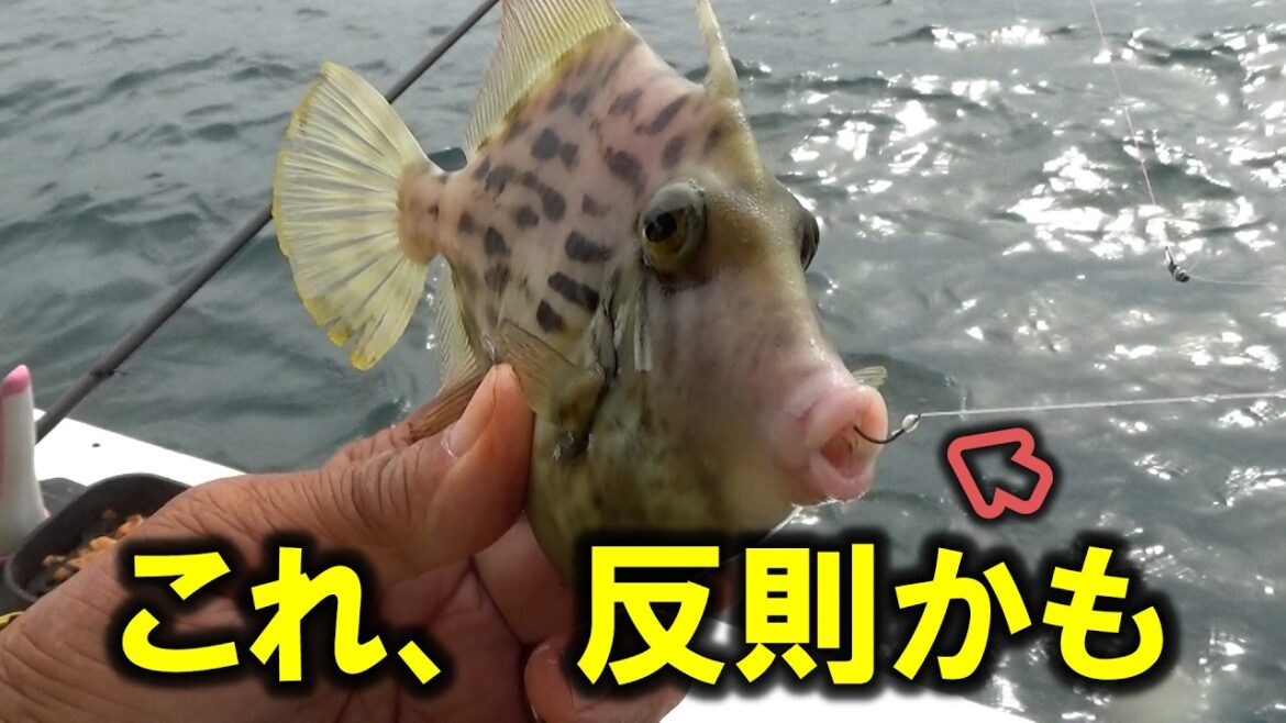 最強カワハギ名人宮澤幸則マル秘テクを暴露してもらいました