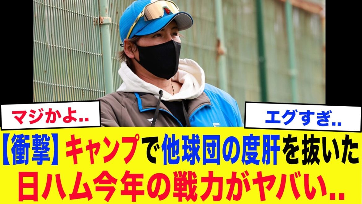 【衝撃】他球団「今年の日ハムは異常..」春季キャンプで他球団を驚かせた日本ハムの突き抜けた戦力がとんでもない...チームを2つ組める最強先発陣が完成寸前..【日本ハム・プロ野球】