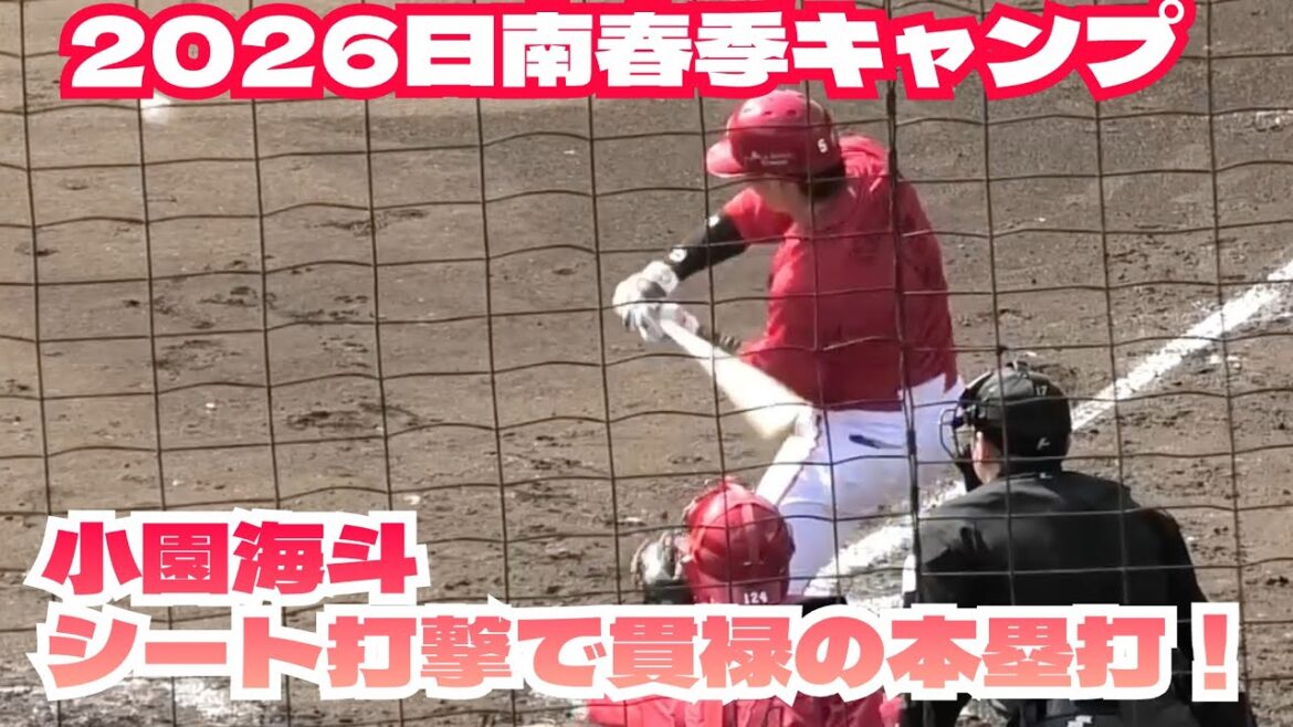 小園海斗、シート打撃で高橋昂也から貫禄のライトポール直撃ホームラン！広島カープ春季日南キャンプ 2026年2月7日