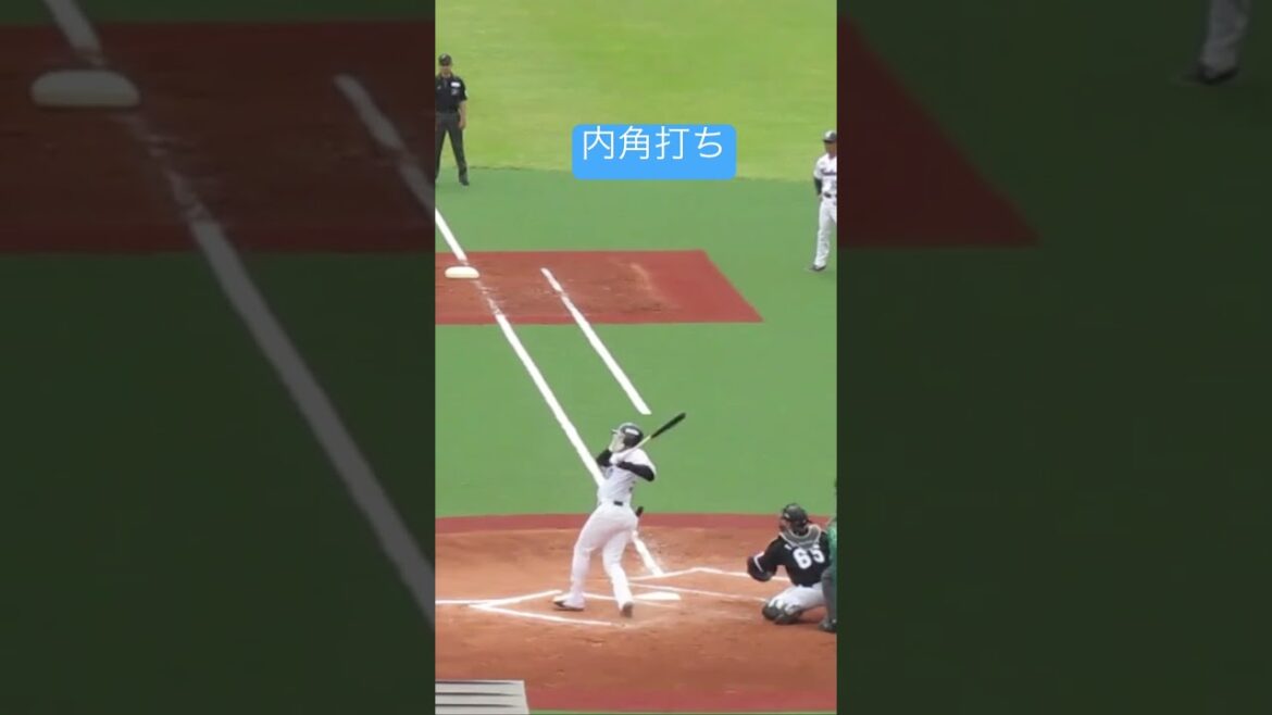 ヤクルト赤羽由紘バッティングフォーム＜2軍・ヤクルトスワローズ対 千葉ロッテマリーンズ  2024年5月12日＞