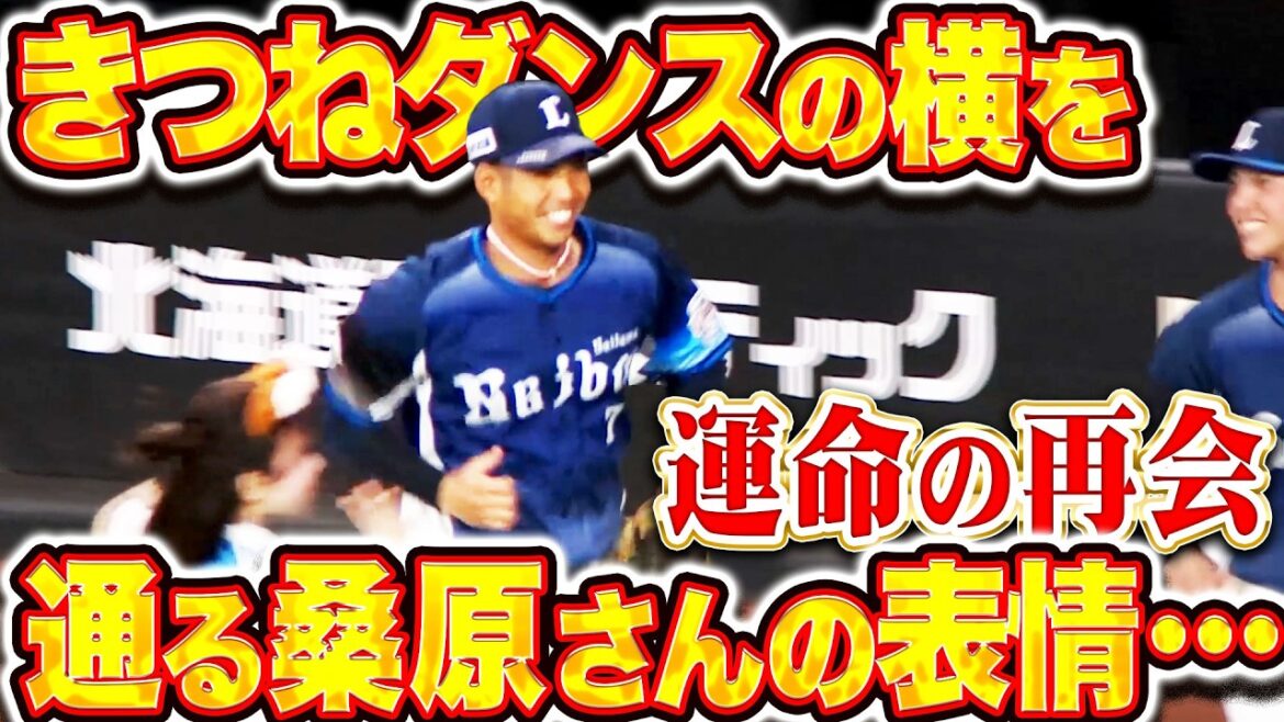 【運命の再会】桑原将志『きつねダンスの横を通った時の表情が想像以上にアレ』【うれしはずかし】