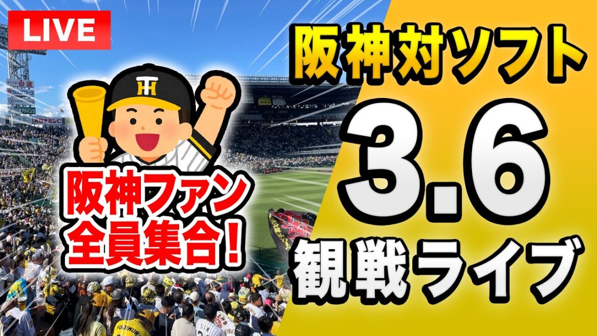 【阪神オープン戦2026🔴】3/6 阪神タイガース 対 福岡ソフトバンクホークス オープン戦を一緒に観戦するライブ。【プロ野球】