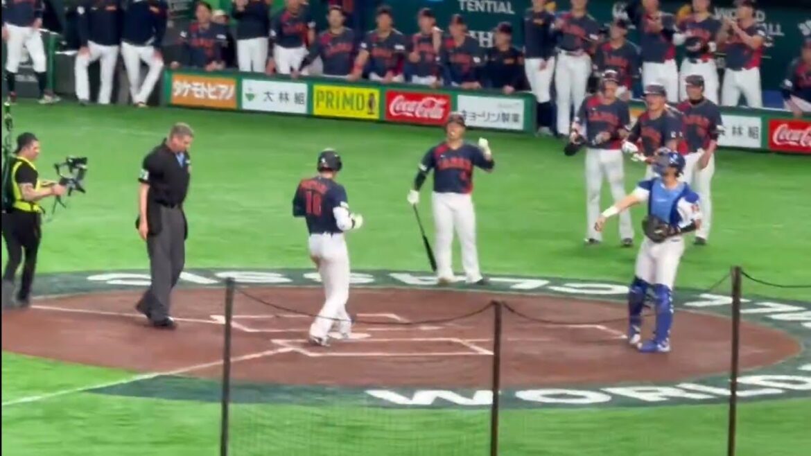 侍ジャパン 大谷翔平 満塁ホームラン #野球 #大谷 #baseball #sports #shorts #ホームラン #大谷翔平 #shohei #wbc #侍ジャパン #プロ野球 #mlb