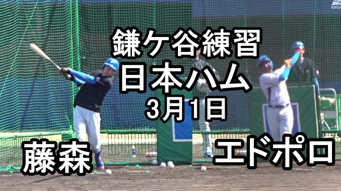 驚愕！エドポロケイン打球速度、藤森バットコントロール、齋藤友貴哉はランニング再開、日本ハム鎌ケ谷練習2026.3.1
