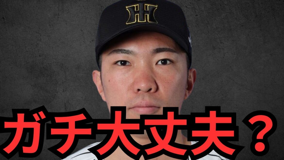 【阪神紅白戦感想】アクシデント２つは中々ないで… 石井＆伊藤将ガチで大丈夫か？？？ドラ2谷端は絶対一軍で使えるな！！今朝丸＆能登はもう少し大胆に行って欲しいな！！ディベイニーは守備スランプなう