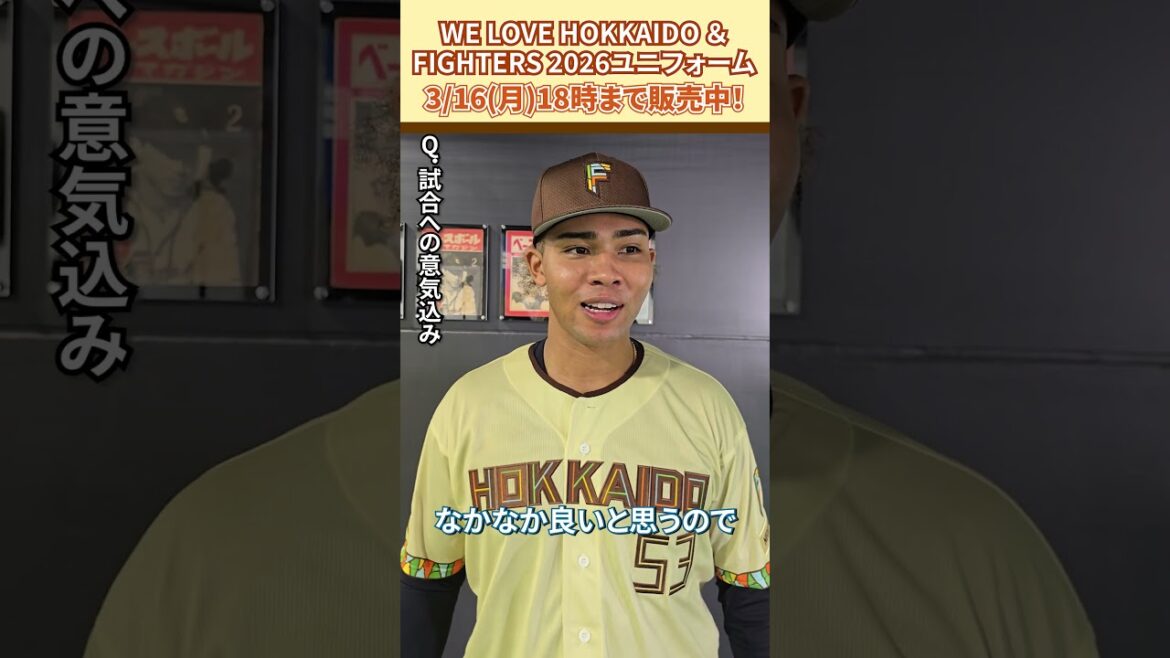 「WE LOVE HOKKAIDO & FIGHTERS ユニフォーム 2026」水谷瞬選手に感想を聞きました😎3/16(月)18:00まで受注販売！#ドミれ#lovefighters