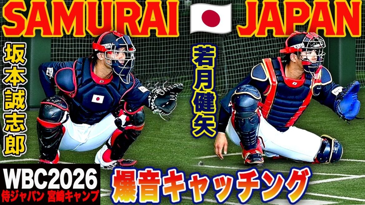 【WBC2026宮崎キャンプ】 正捕手筆頭・坂本誠志郎 山本由伸の元相棒・若月健矢 まるで銃声！爆音キャッチング