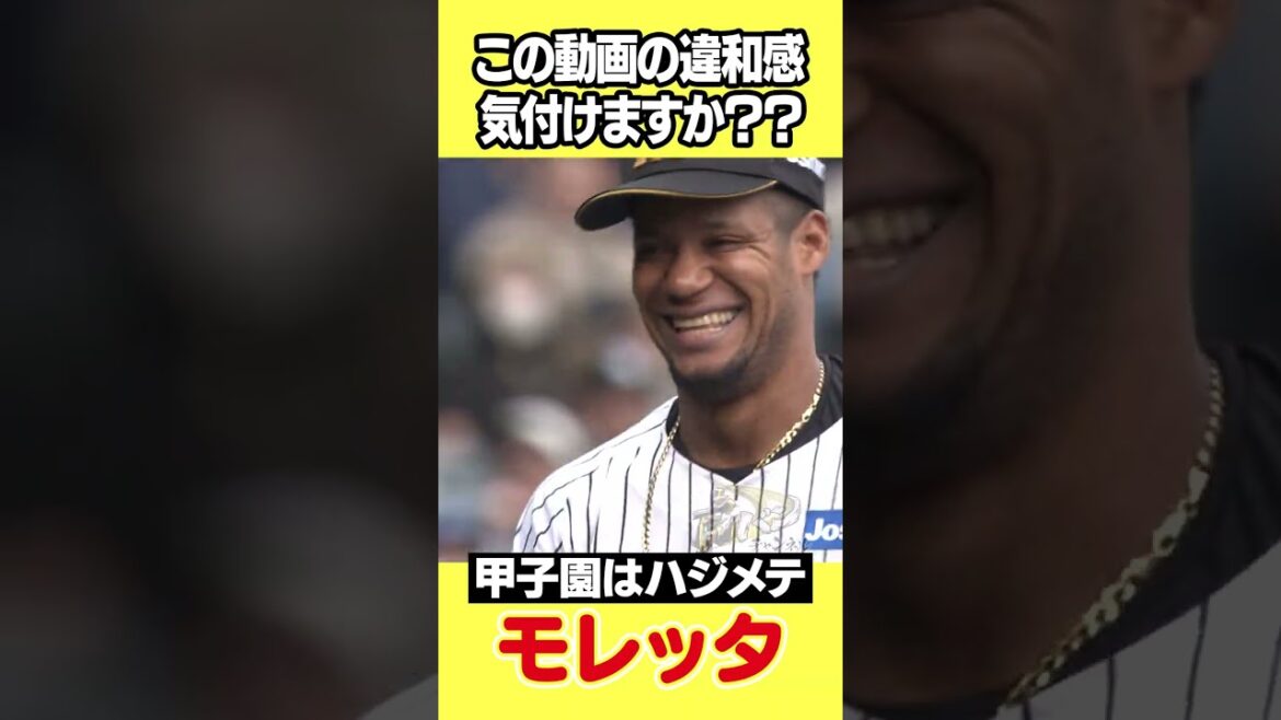 【間違い探し】みんなもこういう経験ある？#モレッタ#うっかり#阪神タイガース #hanshintigers #虎バンチャンネル #プロ野球 #shorts #shortvideo