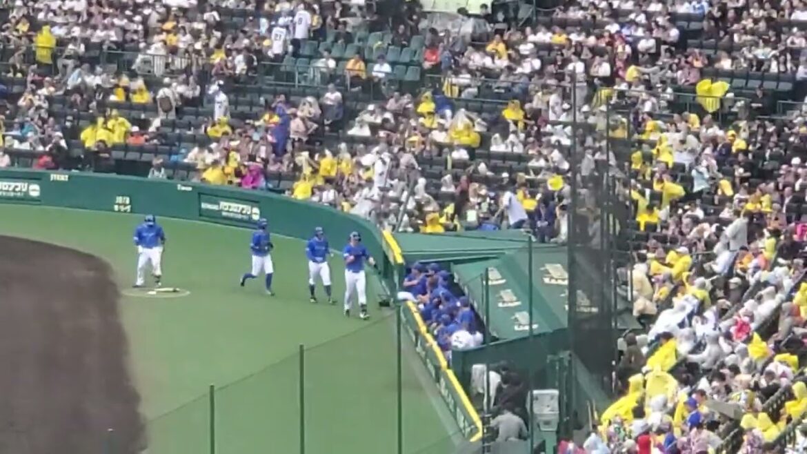 20240622【現地】夢を運ぶ一振りで逆転！ﾀｲﾗｰ･ｵｰｽﾃｨﾝの3ﾗﾝﾎｰﾑﾗﾝ　横浜DeNAﾍﾞｲｽﾀｰｽﾞ　3回表@阪神甲子園球場･ﾚﾌﾄ外野