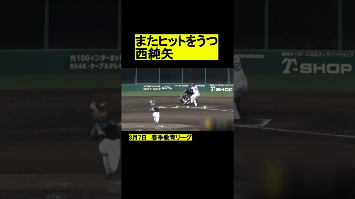 またヒットをうつ西純矢 #プロ野球 #野球 #阪神タイガース