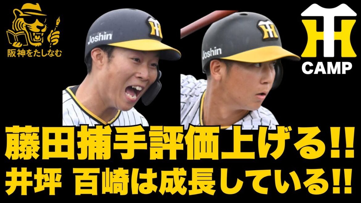 【キャンプ考察🔥】野球人生を賭けたキャンプ藤田一軍も結果残せばあるぞ‼️百崎井坪も確実に成長している‼️#阪神タイガース＃阪神タイガースたしなむ#阪神キャンプ2/5#下村 海翔#藤田健斗#百崎