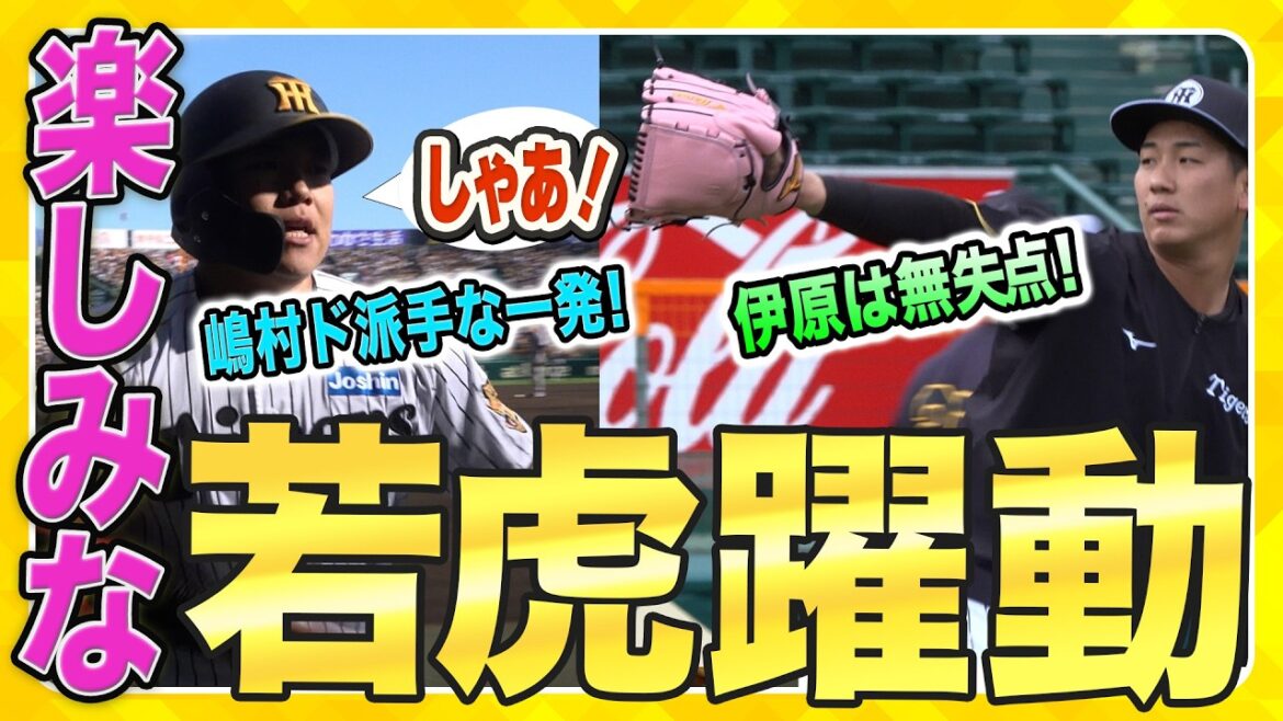 【若虎躍動】存在感たっぷりの楽しみな若手たち！#伊原陵人 選手はさすがの安定感！#嶋村麟士朗 選手は持ち味の打撃で豪快な一発でした！