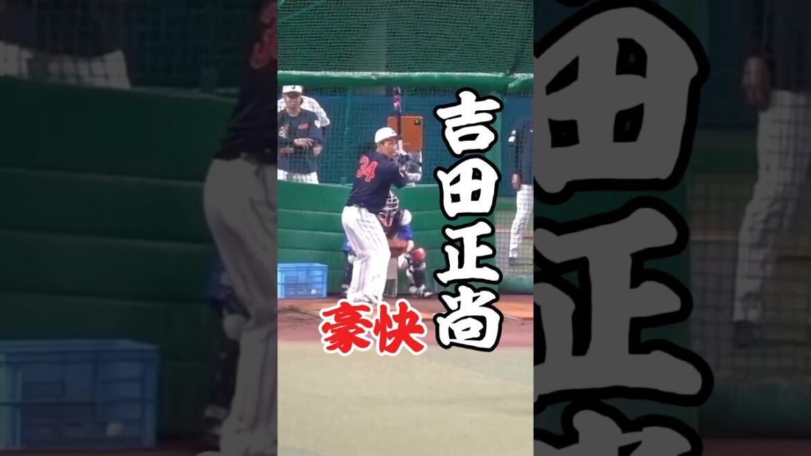 これぞ「マッチョ・マン」！吉田正尚のフルスイングが規格外すぎる…弾丸ライナーがスタンドに突き刺さる　#侍ジャパン #吉田正尚