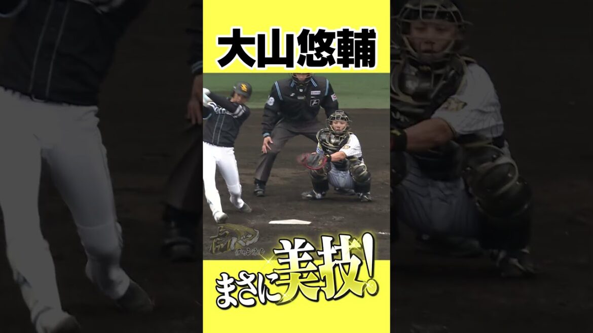 【神キャッチ】これぞ大山。華麗なる守備を見よ！ #大山悠輔 #阪神タイガース #hanshintigers #虎バンチャンネル #プロ野球 #shorts #shortvideo