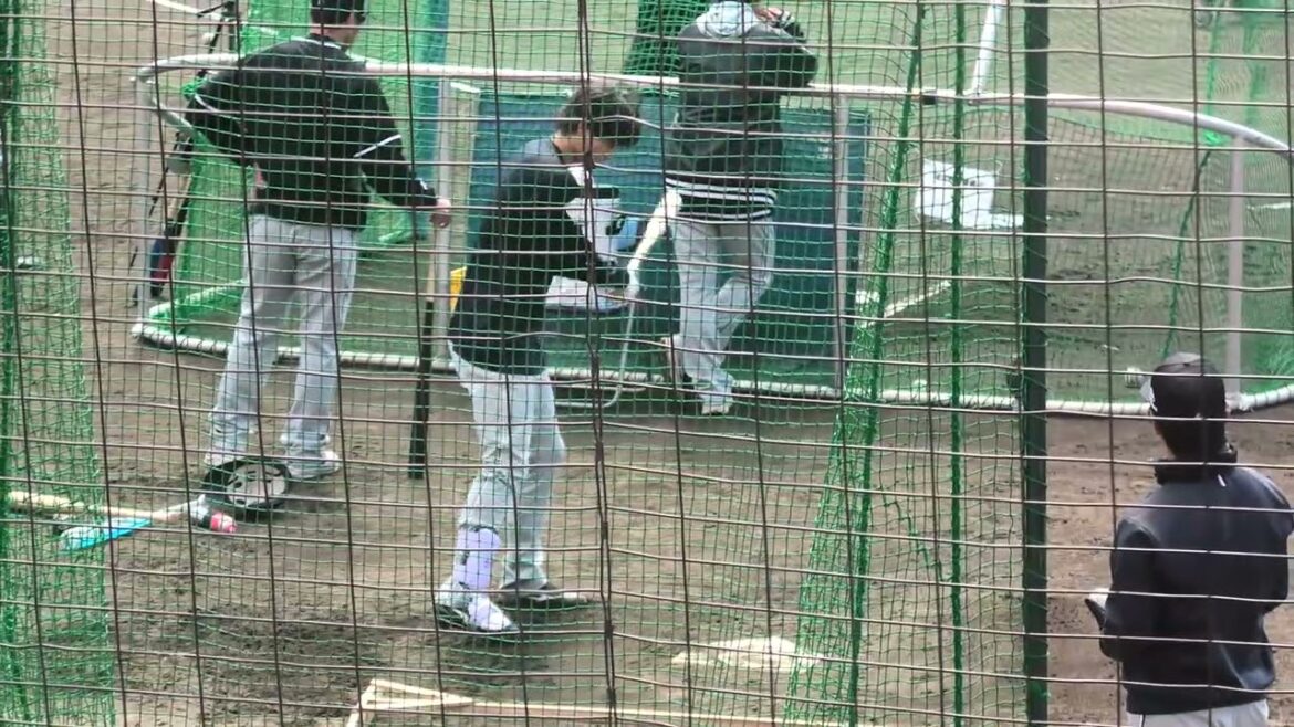 千葉ロッテマリーンズ 和田康士朗選手 試合開始前 トスバッティング 2026/3/4 草薙球場