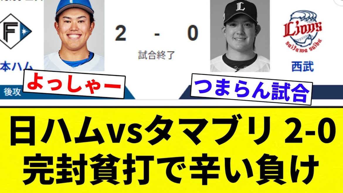 【ちゅらいです】日ハムvsタマブリ 2-0 完封貧打で辛い負け【プロ野球反応集】【2chスレ】【なんG】