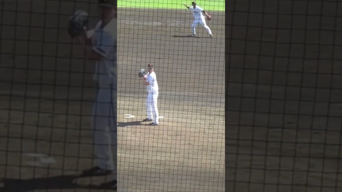 巨人 小沼健太ピッチングフォーム＜読売ジャイアンツ対 セガサミー2024年6月19日＞