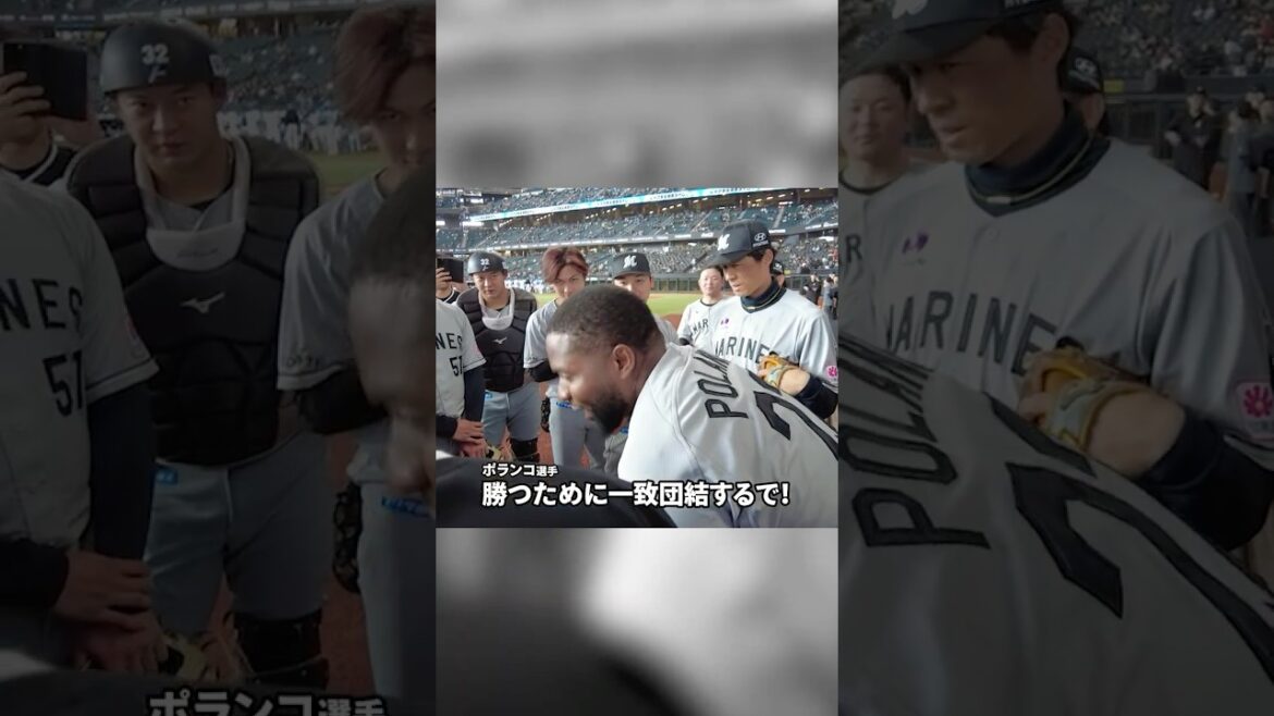 攻めて攻めて攻めダルマや！#chibalotte #ポランコ