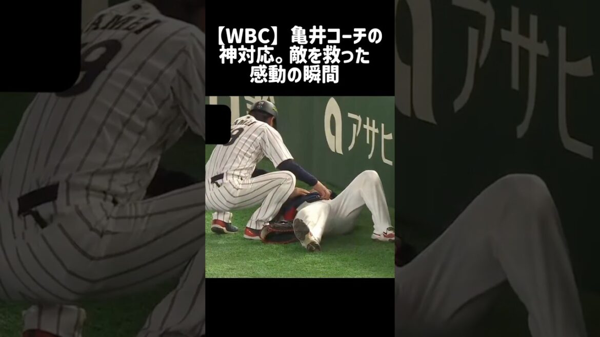 【WBC】日韓戦での亀井コーチの神対応。敵を救った感動の瞬間 #wbc2026 #亀井義行 #大谷翔平