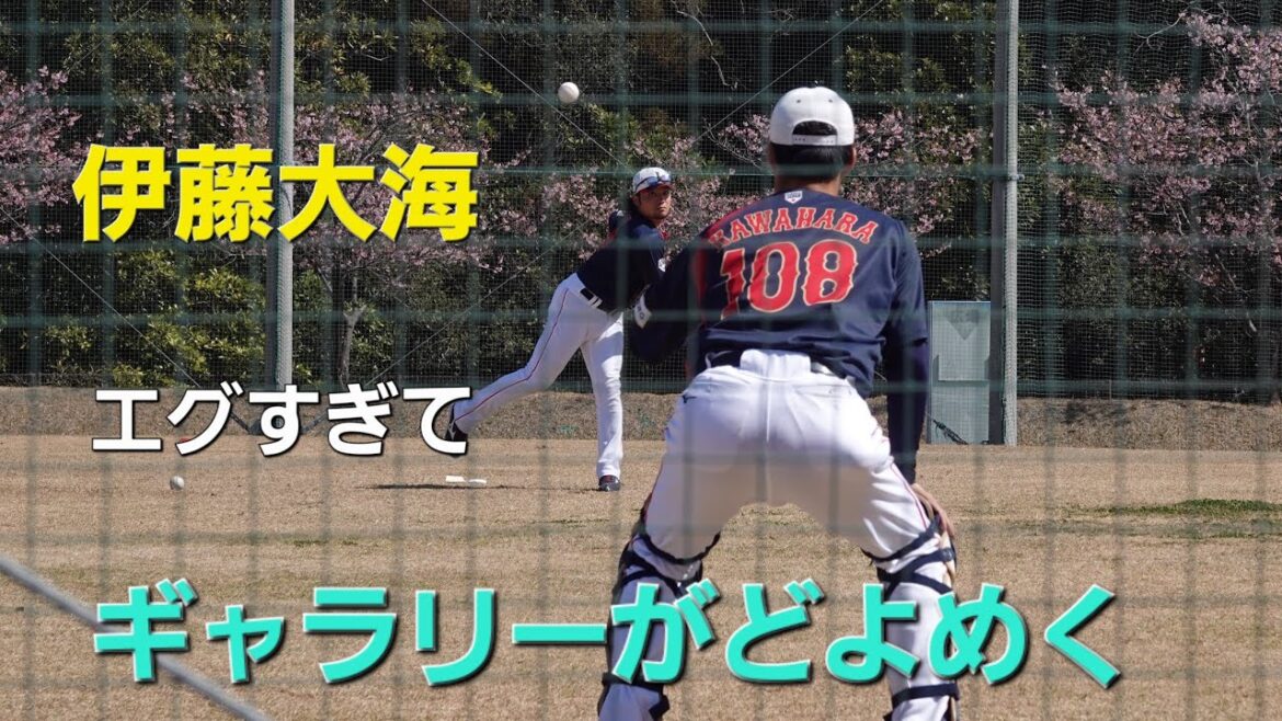 侍ジャパン宮崎キャンプ　伊藤大海キャッチボール(2026-0221)