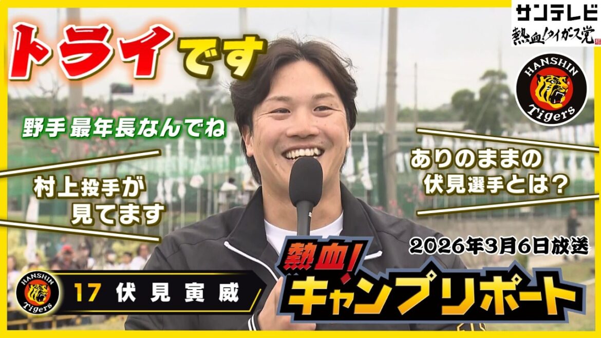 【ファンからの質問にトライ！！】最年長、伏見寅威選手が、キャンプリポート！ #熱血タイガース党