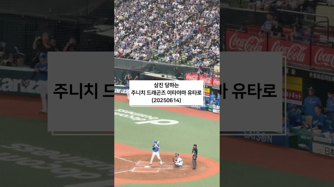 中日ファンの想い虚しく　三振する板山祐太郎