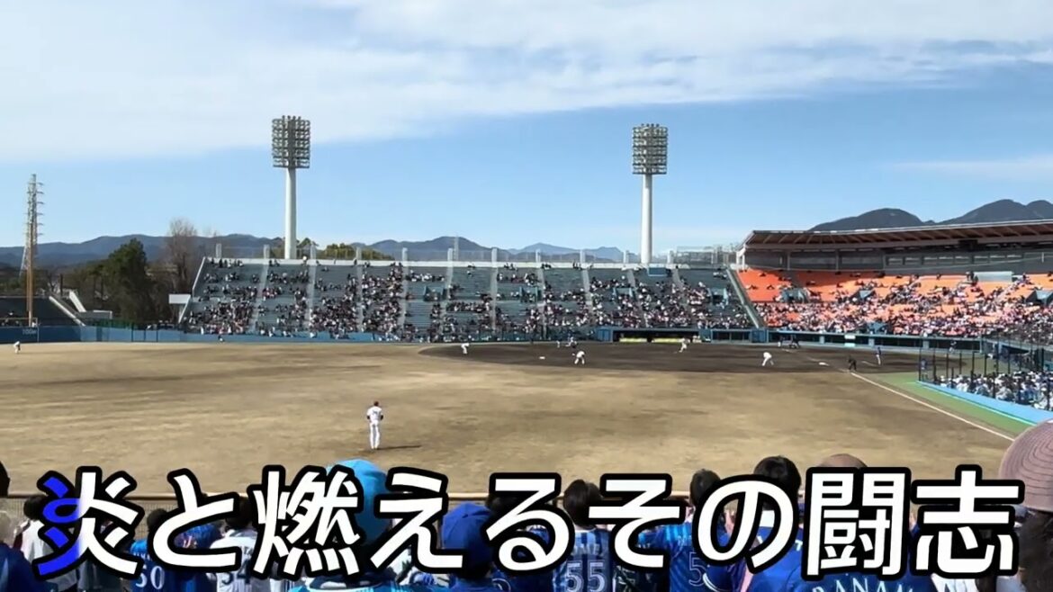 【横浜DeNAベイスターズ】ヒュンメル(アンバギー) 選手応援歌