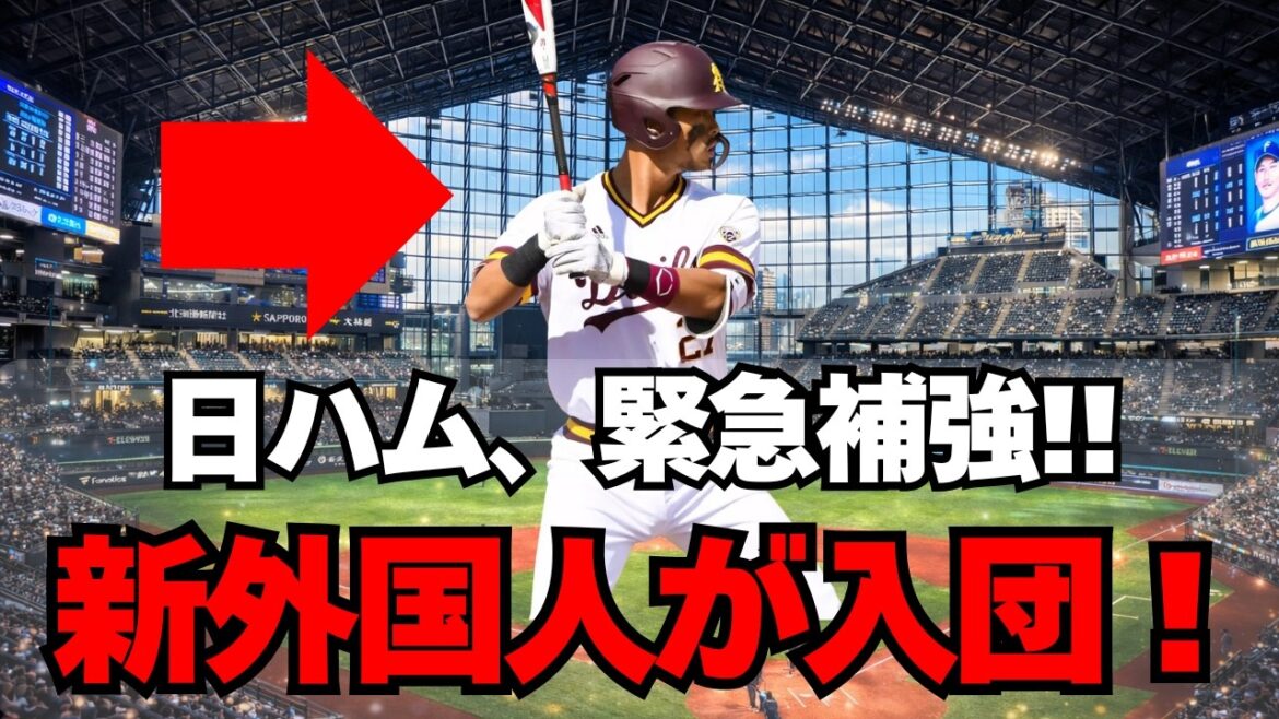 【日本ハム】新外国人が緊急入団！ライル・リン(林家正)