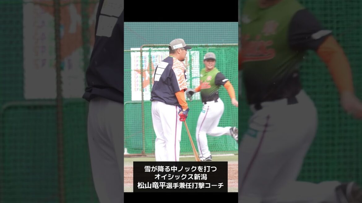 【プロ野球】ノックを打つ松山竜平選手兼任コーチ  #プロ野球ニュース #shorts #松山竜平 #オイシックス新潟アルビレックスBC