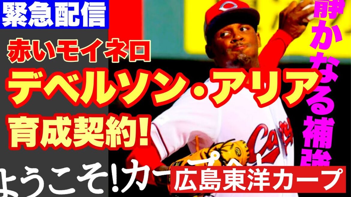 【広島東洋カープ】緊急補強！？　カープが赤いモイネロこと、デベルソン・アリアと育成契約を締結しました　ようこそ！カープへ！　【デベルソン・アリア】【モイセス・ラミレス】【新井貴浩】【カープ】