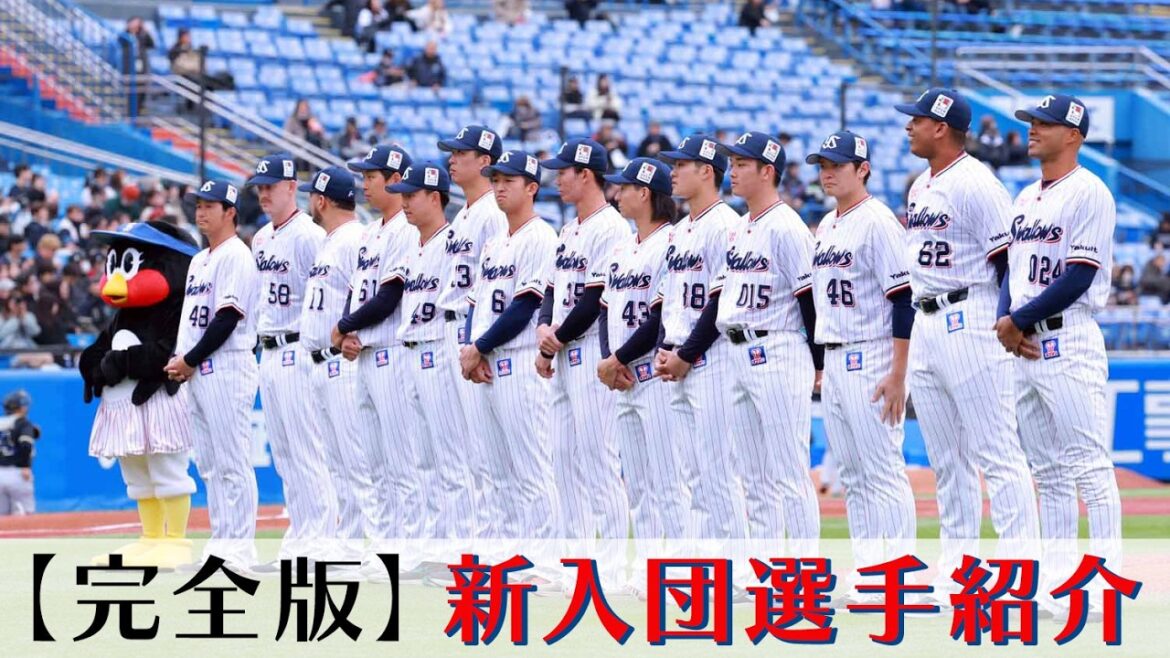 【完全版】新入団選手紹介