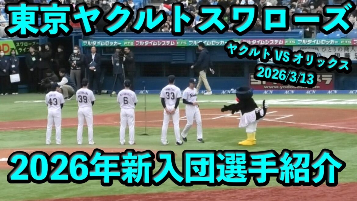 東京ヤクルトスワローズ2026年新入団選手の紹介