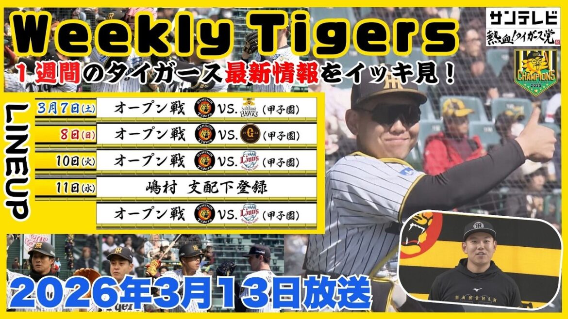 【3/7～13のタイガース情報🐯】オープン戦も佳境！みんな本番モードでどうなる開幕スタメン #熱血タイガース党