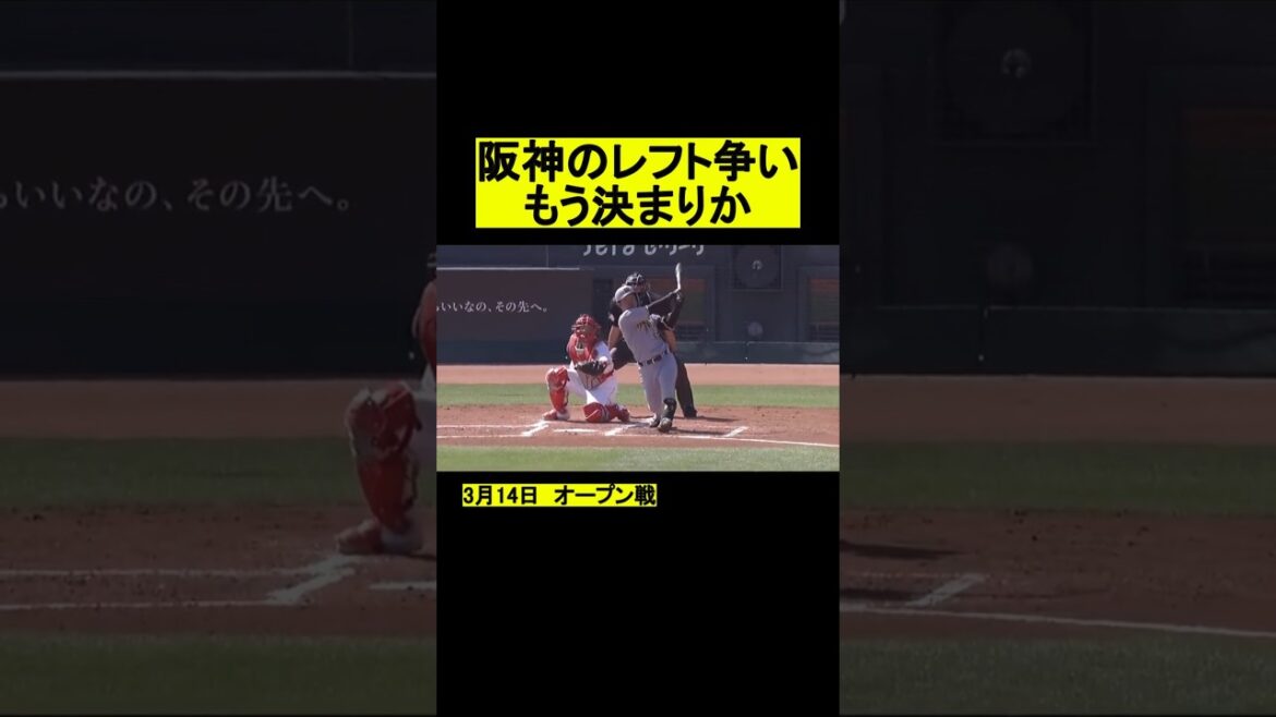 阪神のレフトついに見つかる #プロ野球 #野球  #阪神タイガース