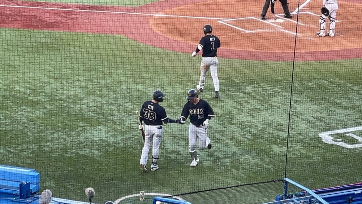 【守備からの出場の中、一打席目でこの1発】横山聖哉 ライトスタンドへのソロホームラン‼︎ 東京ヤクルトスワローズ オリックスバファローズ