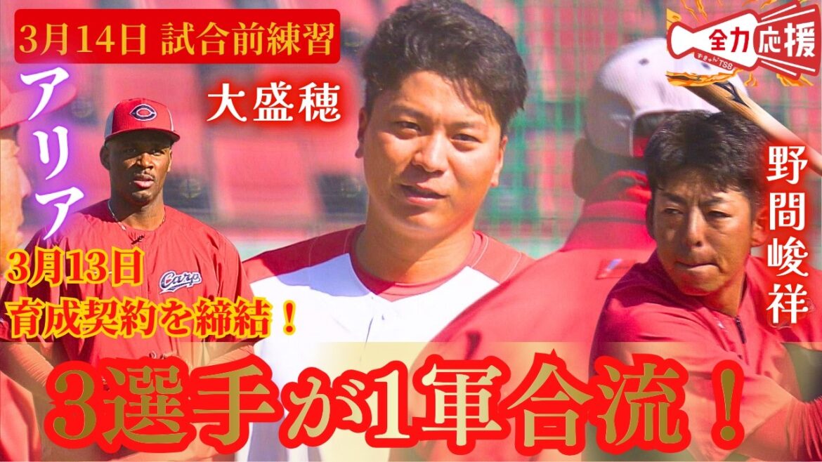 【3月14日試合前練習】野間峻祥&大盛穂&アリアの3選手が1軍合流！！【球団認定】カープ全力応援チャンネル