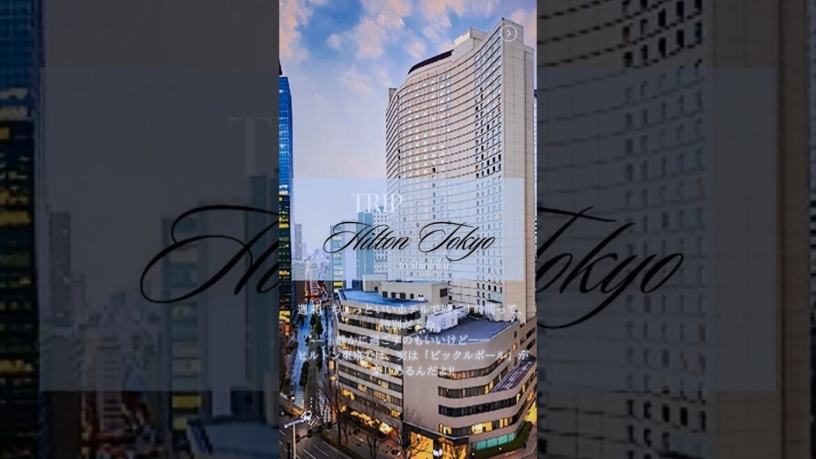 【ヒルトンにも？💕】ヒルトンホテルにもピックルボールコートが登場！ #ピックルボール #pickleball #ピックルボール東京 #東京ピックルボール