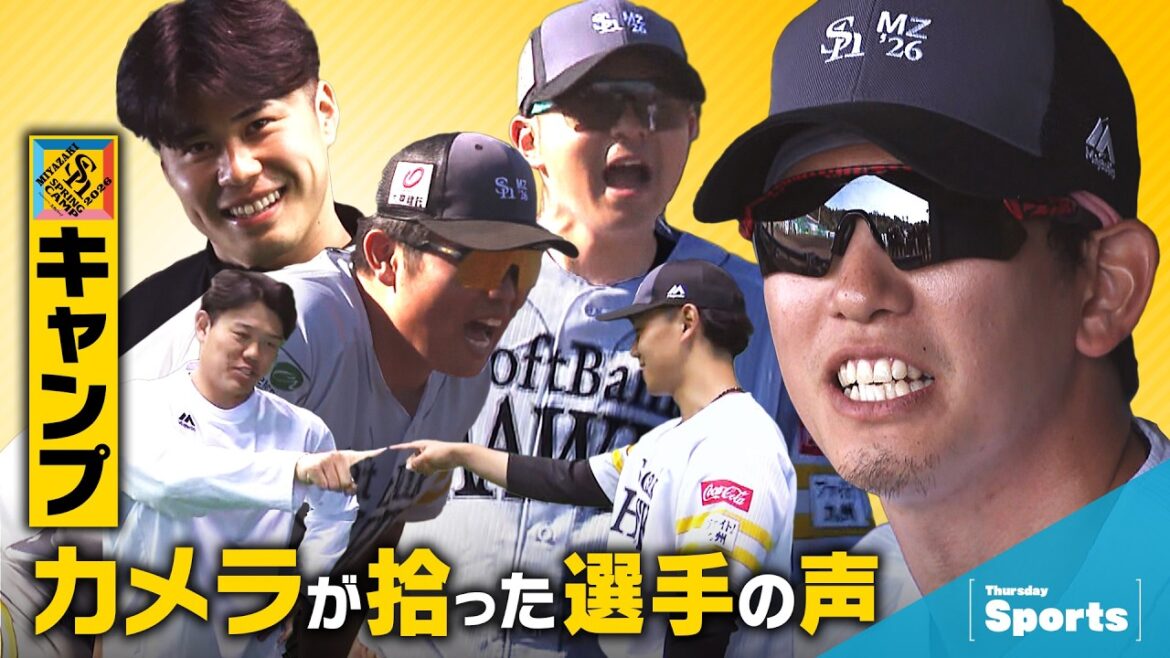 【NEWS配信】春季キャンプ　カメラが拾った選手の声