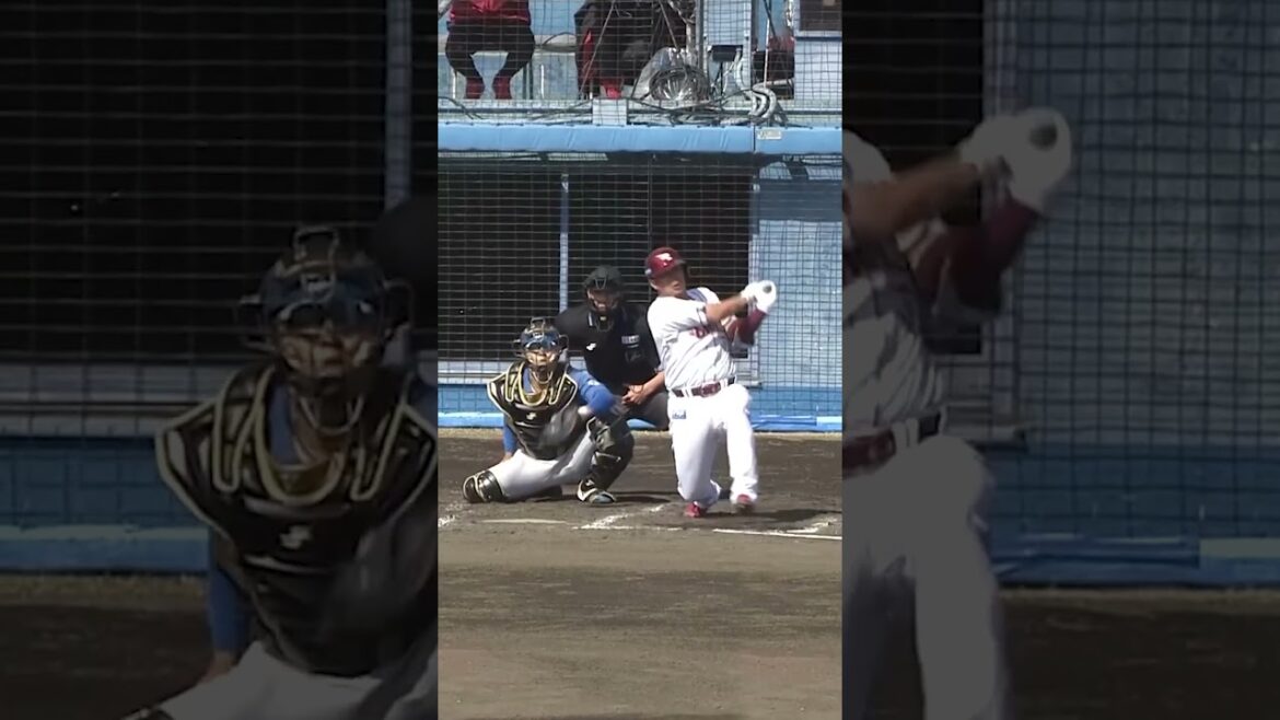 "#郡司裕也 5試合連続ヒット🔥3月12日#イーグルス#ハイライト" #ドミれ #lovefighters