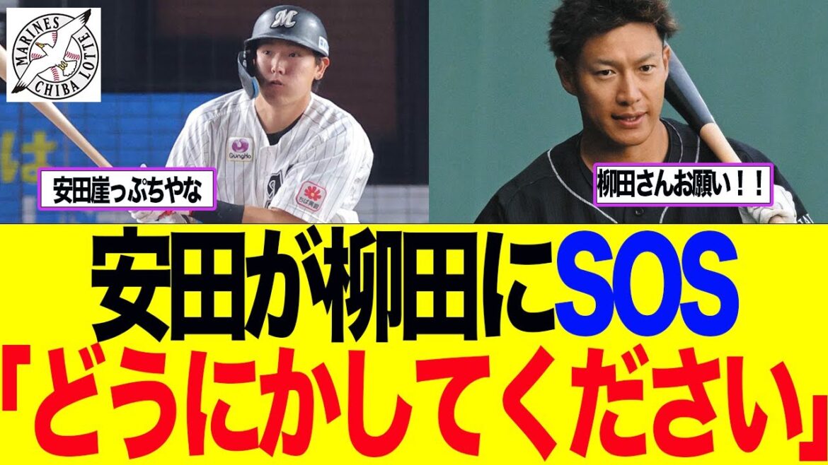 【ロッテ】安田が柳田にSOS「どうにかしてください」　ロッテファン反応集