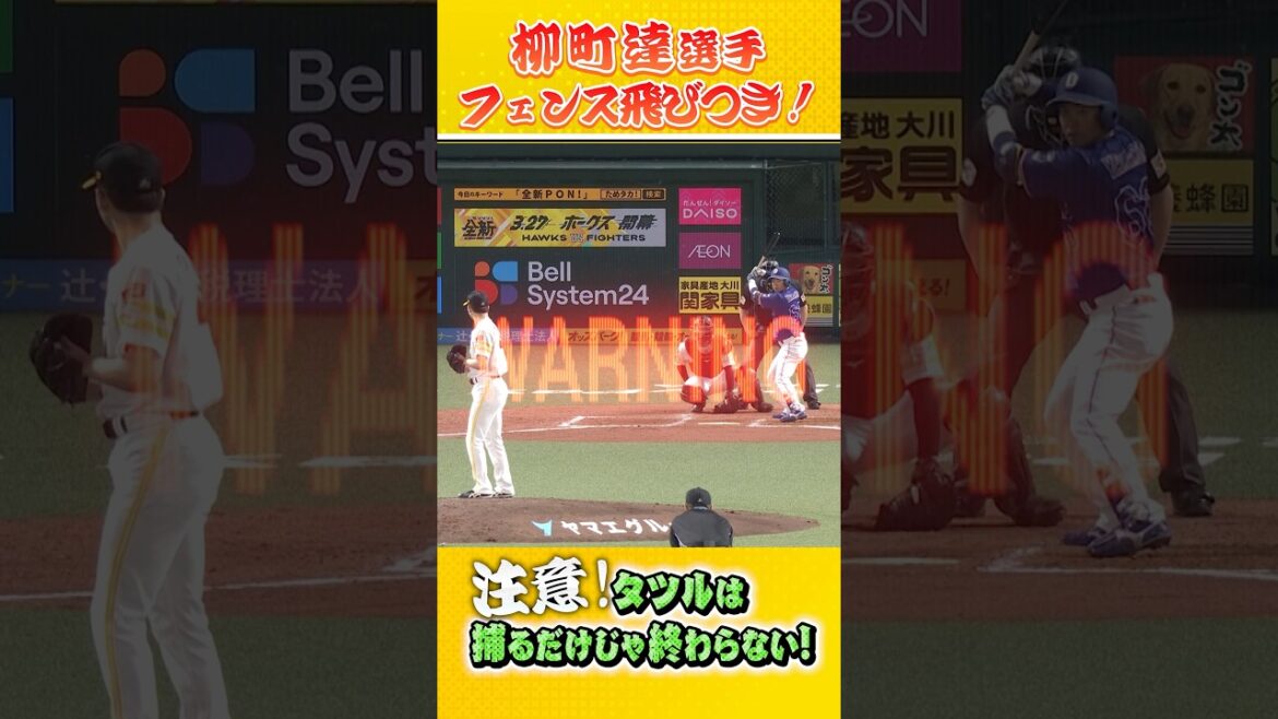 隙のない守備、これこそワイのタツル！#sbhawks #柳町達 #全新